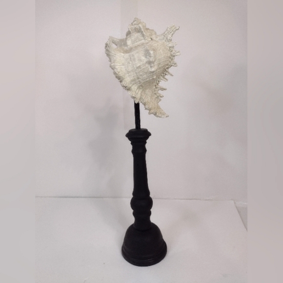 Elegant White Shell Sculpture on Black Stand - Picture 1 of 10
